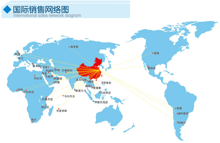 國際營銷網(wǎng)絡